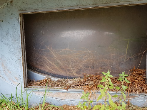 Futuro, Cheltenham, Australia - Peter S - 012118 - 11