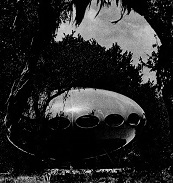 Tampa Bay Times 051770 Photo Detail 1