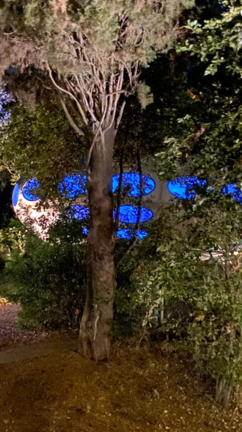 Futuro, Corfu - Photo July 2020 By Owner Dakis Joannou - 1