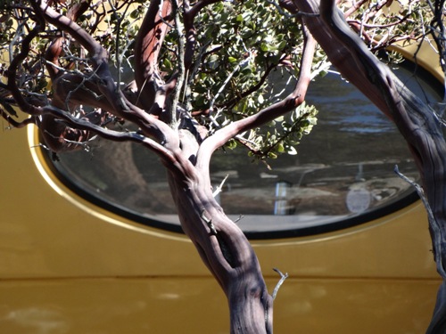 Futuro, Idyllwild, USA - Visit 022615 - 31