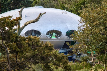 Futuro - Frisco - Nancy Hall - 031416