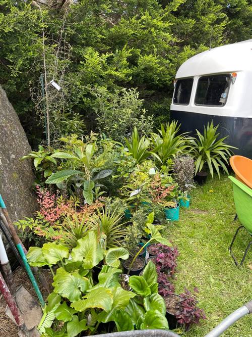 Nick IG & Facebook October 21 Update 22