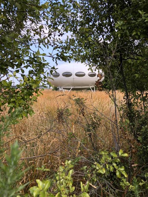 Futuro, Ohoka - Nick McQuoid - 010120 - 3