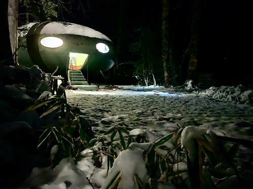 Keys Patti Photos Stafford, VA Jan 2024 - 2