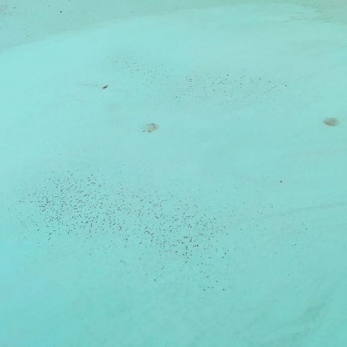 Owner Raglan To Christchurch Story - 050121 - 7