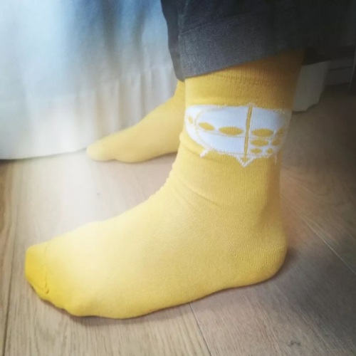 Futuro Socks